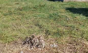 Imagem: Terrenos em Umuarama PR