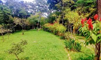 Imagem 5: Fazenda/Sítio/Chácara para venda tem 15000 metros quadrados com 6 quartos