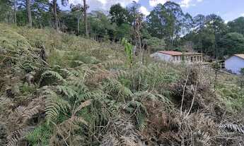 Imagem 3: Oportunidade Terrenos na Fazenda Suiça - Teresópolis RJ