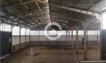 Imagem 5: Galpão - Distrito Industrial - Jaguariúna