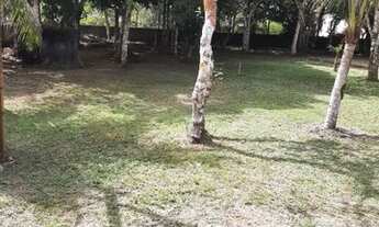 Imagem 5: Vende-se chácara no km 12 br 174