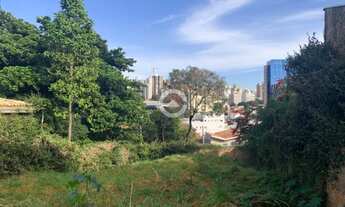 Imagem 4: Terreno - Nova Campinas - Campinas