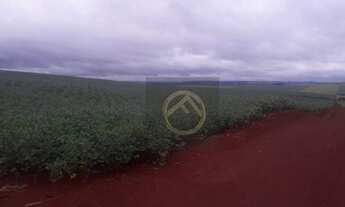 Imagem 3: Fazenda à venda, 3751000 m² - Centro - Cornélio Procópio/PR