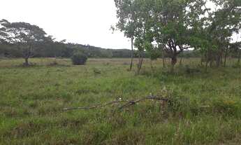 Imagem 6: Excelentes Fazendinhas Com Água Luz Lagoa Cerca na região de Sete Lagoas MG