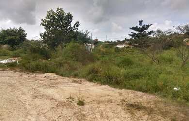 Imagem 3: Vendo terreno no loteamento Rosa de maio em uma boa localizaçao escriturado e