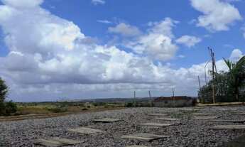 Imagem 4: Sítio Chácara com venda por R$150.000