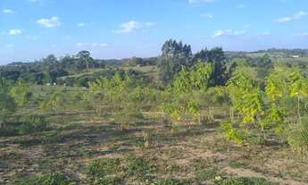 Imagem: Lote/Terreno para venda possui 73000 metros