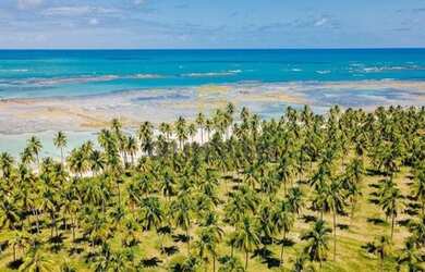 Imagem 2: Área com 12,8 Hectares Beira Mar das lindas praias de Ipioca em Maceió-AL por R$32milhões