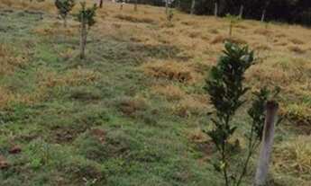 Imagem 2: Excelente chácara na cidade