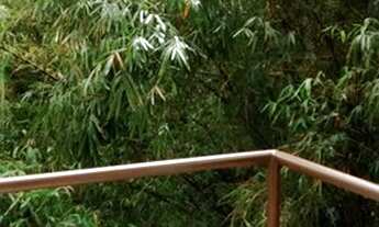 Imagem 6: KITINETE Centro São Leopoldo