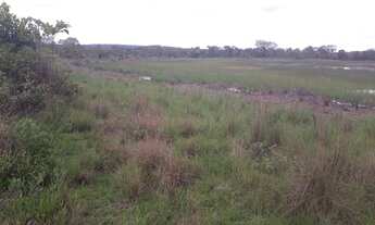 Imagem 6: Vendo Excelentes Fazendinhas Planas Registradas Financiadas Com Água Luz Lagoa na região d