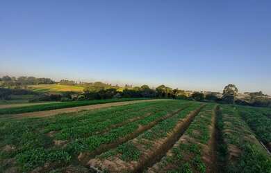 Imagem 3: Terreno em Ibiúna com Fácil Acesso a Cotia SP