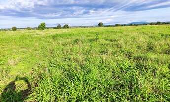 Imagem 2: Fazenda Dupla aptidão Município Araguapaz- GO