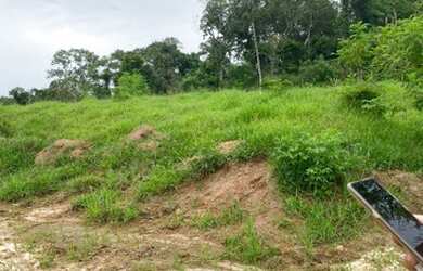 Imagem 2: Terrenos próximos à rodovia Dom Pedro