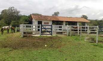 Imagem 4: Sítio para venda total ou locação de parte