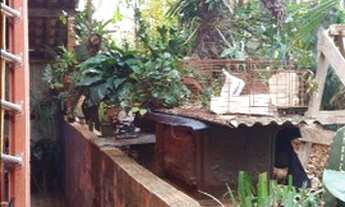 Imagem 5: BORDA DA MATA - Casa Padrão - São Judas Tadeu