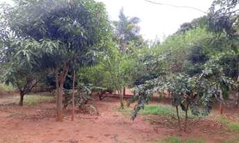 Imagem 5: Chácara - Aluga-se ou vende