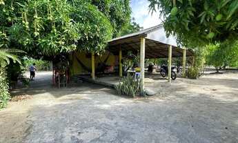 Imagem 5: Sítio todo estruturado na região da Vila nova esperança