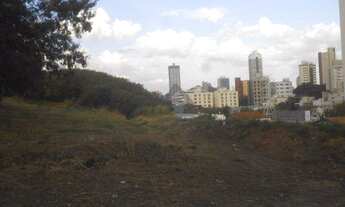 Imagem 2: área - Taquaral - Campinas