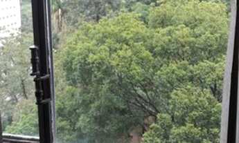 Imagem 4: Conjunto Comercial para Venda em São Paulo, República, 2 banheiros