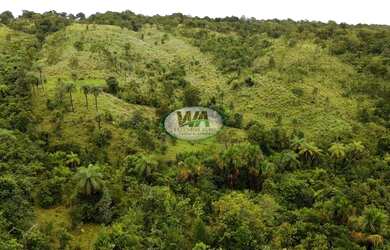 Imagem 2: Fazenda com terras de pretas de cultura