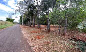 Imagem 5: SENADOR CANEDO - Chácara - ESTÂNCIA VARGEM BONITA