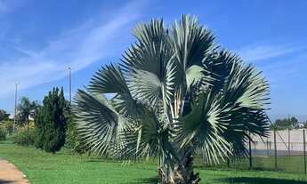 Imagem 6: Terreno à venda, 400 m² por R$ 480.000,00 - Residencial Gaivota II - São José do Rio Preto
