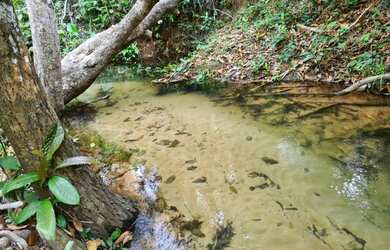 Imagem 2: TERRENO NA AGUA FRIA