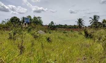 Imagem 7: Chácara para venda possui 999 metros quadrados em Urano - Satuba - Alagoas