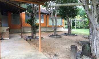 Imagem 6: Sítio de 2 Hectares no Barreiro em Taubaté