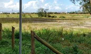 Imagem 6: BIGUAçU - Terreno Padrão - Centro