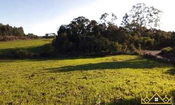 Imagem 7: Sítio / Chácara para Venda em Três Coroas, Serra Grande