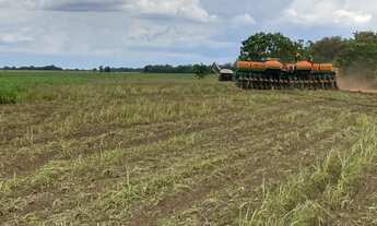 Imagem 5: Fazemda entre Água Boa e Cocalinho - MT