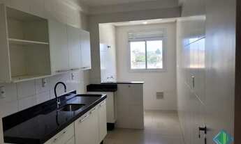 Imagem 6: SãO JOSé - Padrão - Barreiros