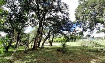 Imagem 2: Chácara a Venda em Contenda Pr