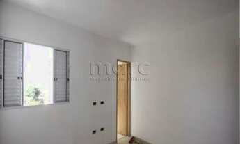 Imagem 6: SAO PAULO - Casa Padrão - VILA MORAES