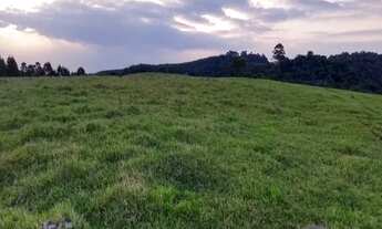 Imagem: Fazenda de 52 alqueires à venda na Estrada