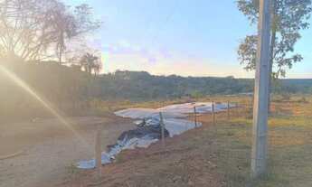 Imagem 7: Lindíssima Chácara com 1,5 Alqueires em Hidrolândia