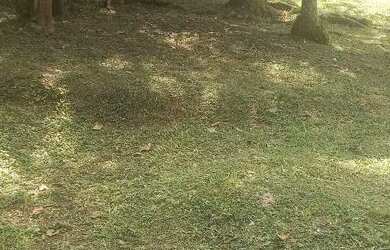 Imagem 5: Oportunidade de chácara 1000 metros em Suzano com escritura