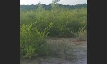 Imagem 5: Praia Boa Viagem - MA