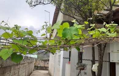 Imagem 6: Vendo uma casa , bairro Brasília