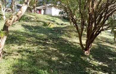 Imagem 7: Sítio, Paiol do Meio, São Lourenço da Serra - R$ 2.200.000,00, 22.250m² - Codigo: 2883