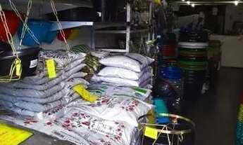 Imagem 2: Loja de embalagens em Av de grande movimento ZL/SP Ref; 1306