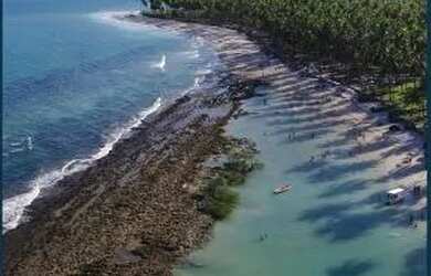 Imagem 3: Apartamento para venda com 46 metros quadrados com 2 quartos em Praia dos Carneiros - Tama