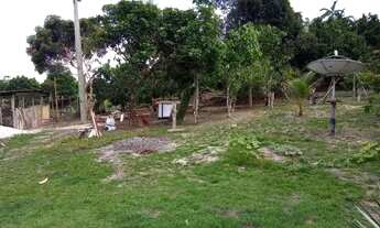 Imagem 2: Sítio - Casa, campo, ponto comercial