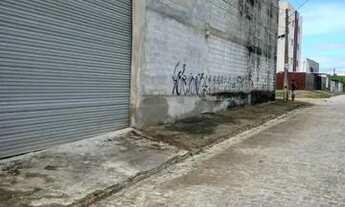 Imagem 3: Galpão Paulista/Abreu e lima