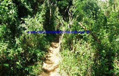 Imagem 7: Sitio vendo Ilhabela no sul São Pedro