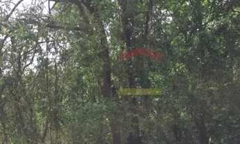 Imagem 6: CASA NA SERRA DA CANTAREIRA - TERRENO DE 1.200 M2 - CONDOMINIO FECHADO