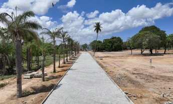 Imagem 2: Loteamento Vila Caucaia no Capuan Caucaia