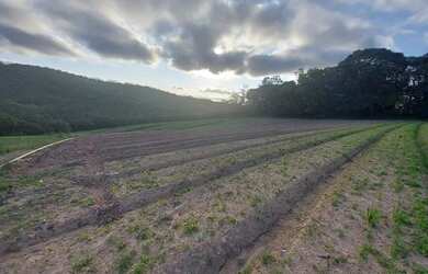 Imagem 3: Lotes de 600m² Terreno / lote com venda por R$60.000